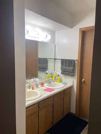 Sink - Apt 17, Granite Management