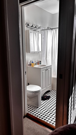 washroom - West Lunt Avenue Apartments