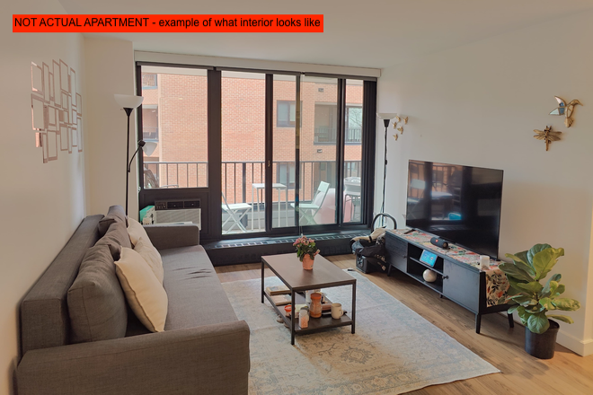 living room - 1 Bedroom at Soldiers Field Park (SFP) Building 2! Unfurnished. Apartments