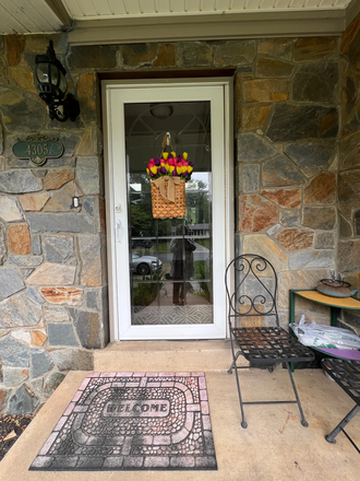 Main Door - Single house