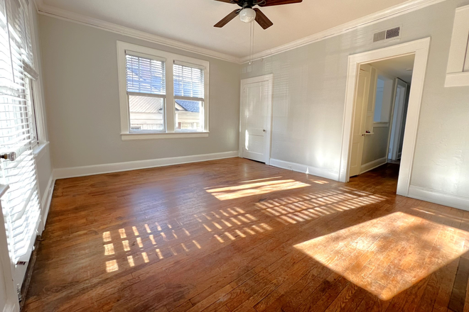 Sunny living room! - Renovated 1BR - Large Porch + Sunny Corner Unit