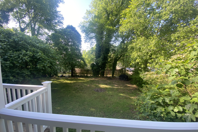 Back Yard - House for Rent - 1101 Carlilse Ave - Close to VCU