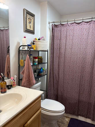 BR 1 Bathroom - Cary Belvidere Apartments