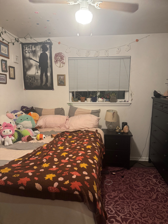 Bedroom alternate angle - Darley ave Room (spring 2026 sublet) House