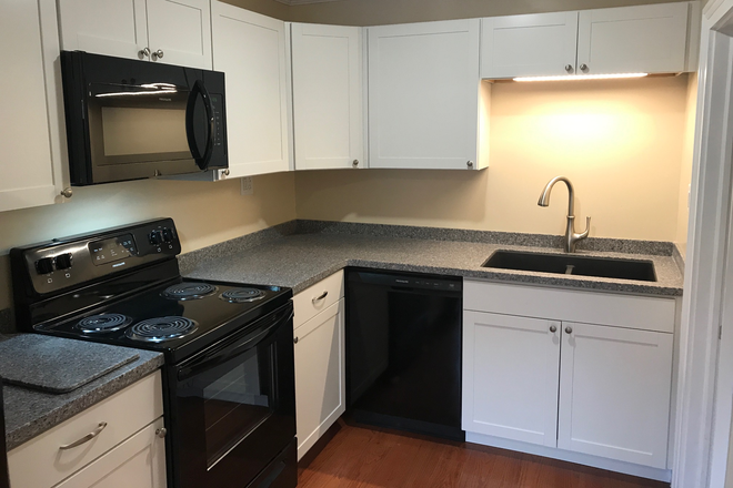 Nice Kitchen with Dishwasher, Stove, Microwave, Refrigerator is new and sizeable too. - Bright and Sunny 2 Bedroom, 2nd floor, renovated downtown apartment-