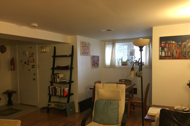 LIvingroom - Adams Morgan- English Basement One Bedroom. Renovated. Washer/Dryer. Central Air/Heat. Fenced Yard. Townhome