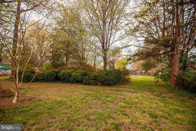 large back yard - Bright 2-BR, all Utilities incl, parking, private laundry, quiet neighborhood, close to UMD, Garden House
