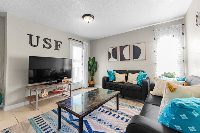 Living Room Interior with Flat Screen TV - College Town at USF Apartments