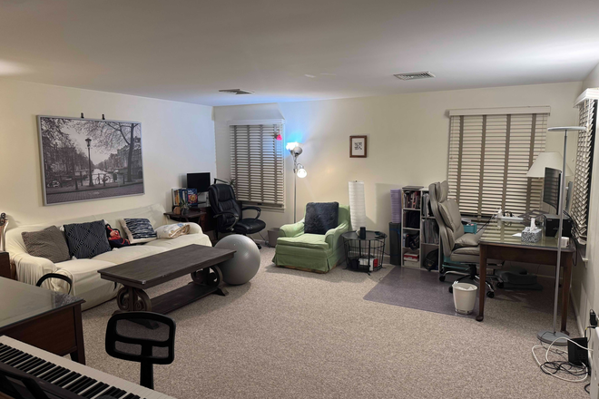 Living room - Furnished 1BR apt-Park Place-Princeton