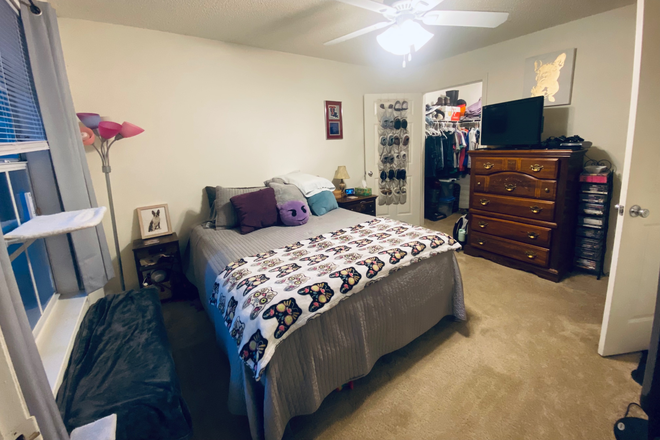 Bedroom - The Polos of Gainesville Apartments