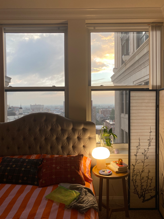 View - Cozy Studio in Mt. Vernon steps from Peabody and JHMI Shuttle