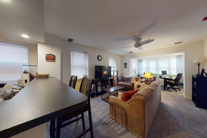 living room - 4419 Walnut Street- Large Renovated 2-Bedroom Apartment w/ Central Air/Heat