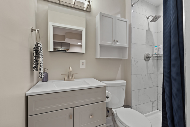 Bathroom - Classic Elegant Basement Apartment