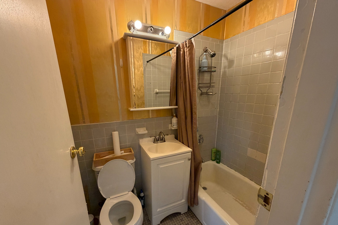 Bathroom - Looking for 1 Roommate in a 3 bed/1 bath Apartment on Symphony Rd