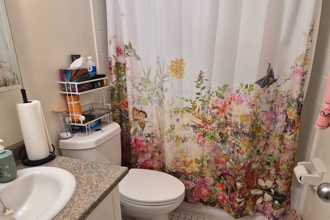 Shared Bathroom - Private room for female in a shared apartment at Ruddington Drive