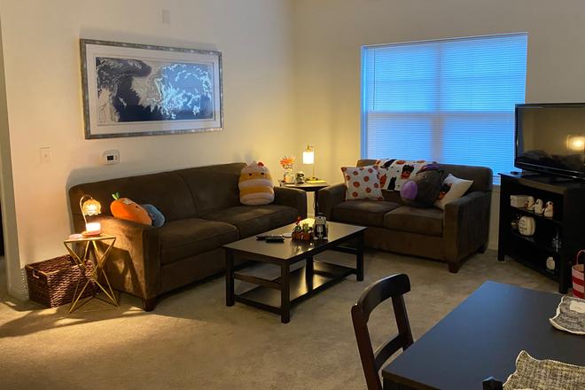 Living room - The Heights Apartments