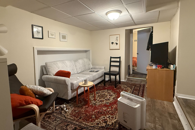 living room - Affordable Coolidge Corner 2 bed with updated kitchen - NO FEE, 1 MONTH FREE Apartments
