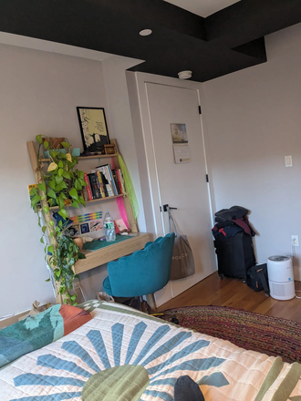 Bedroom (view from bed) - Sunny Room in 2bdrm in PLG for May 1 Apartments