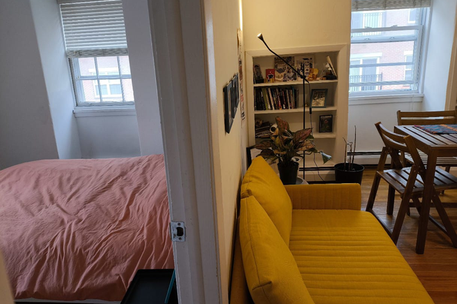 Living Room and Bedroom - Winter Sublease: Furnished 1BR apt-Spring St-Princeton