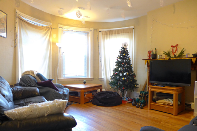 bostonrealtyonline.com - Cozy Four Bedroom in Prime Mission Hill Location