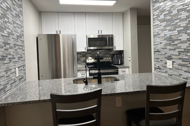 Stainless & granite kitchen with reverse osmosis drinking water - Females- BRAND NEW RENOVATION!  Private 1bd/1ba suites in a shared 4/4- close to Campus. Condo