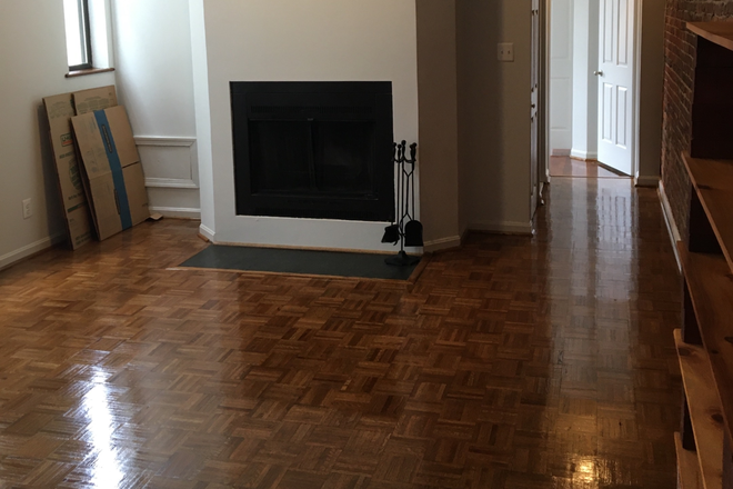 Living room with fireplace - Beautiful 1B/1B in converted Victorian on Logan Circle Condo