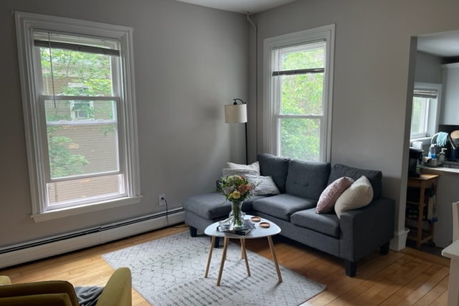 living - great location! cozy, sunny, renovated, harvard design, redline, Apartments