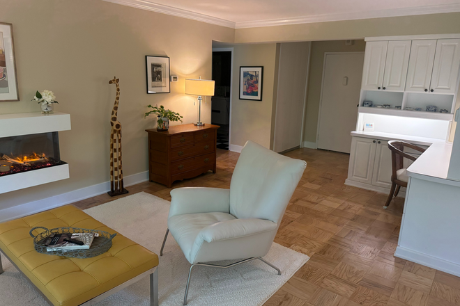 Large open living area with electric fireplace - Spacious furnished 1-brm apartment with large balcony and close to campus, shops, restaurants