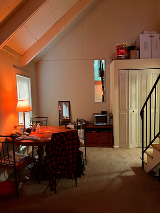 Living room - Puffton Village 3 Person Apartment