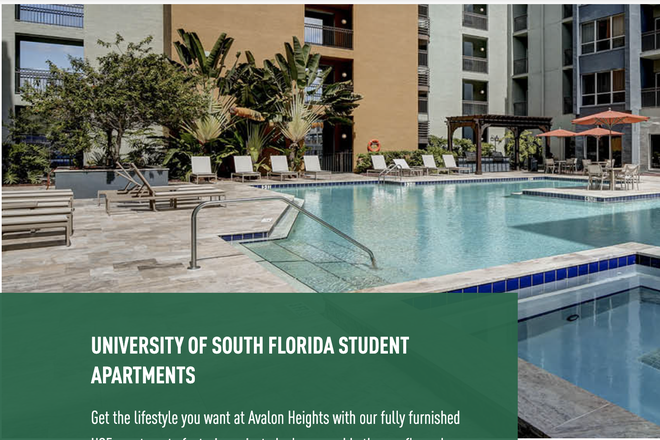 Pool - Avalon Heights Apartments