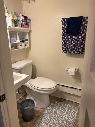 Bathroom - Cozy, convenient, furnished – 1 mile to Umass and on bus route Duplex