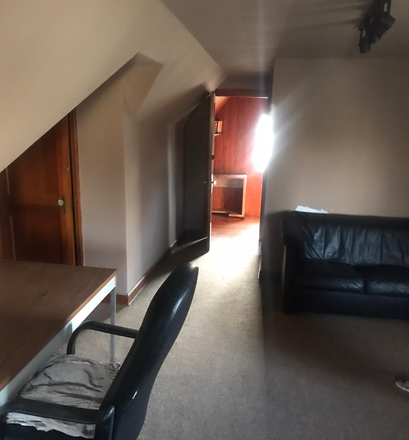 Option2; 2BR Loft: private lounge/study - Private room in Sq. Hill home, 1mile from CMU. Ideal for CMU faculty, grad / PhD students