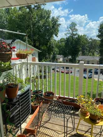 The balcony garden - 1 Available Bedroom in a 2 Bedroom/1 Bathroom Apartment
