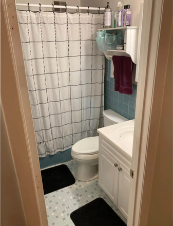upstairs bathroom - Townhouse , 4 bedroom, 2 1/2 bath, $1900/mt, AC, washer, dryer, 2 parking spaces