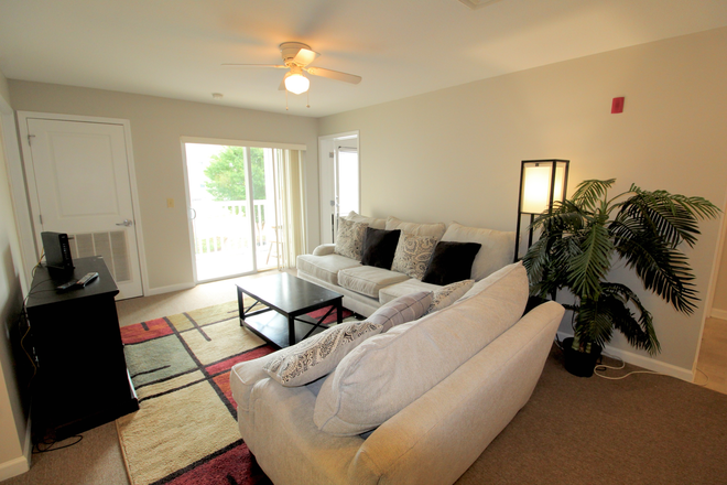 Living area - Campus View - 4 bedroom 4 bath - top floor condo for rent!