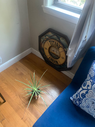Bedroom Decoration - BC/BU August Sublet in Fully Furnished Brighton Apt – All Utils/WiFi Included! 1 min from T