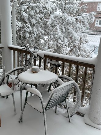 Porch front - Large and quiet unit in a 2-Family House close to Campus