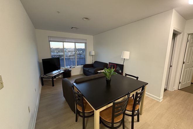 Living room - 1 Bedroom in South Campus Commons 7 Apartments
