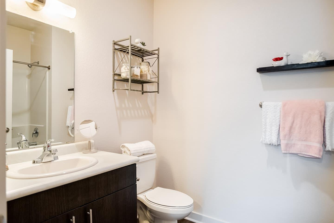 Bathroom - Halo 46 Apartments