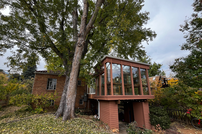 The awesome backyard - Summer Sublet for the best house in Boulder