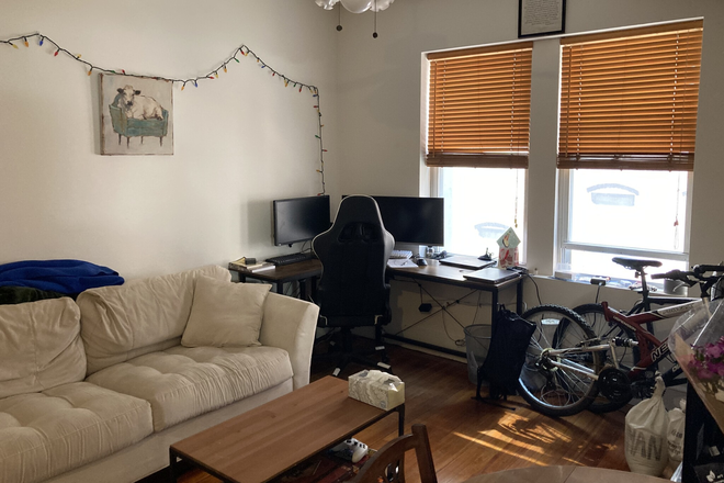 Livingroom - Large alcove Studio in Fenway across from City Target walk to Campus 9/1