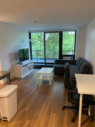 Living room - Fully Furnished & Renovated 1 Bed / 1 Bath in Soldiers Field Park (SFP) 2 Apartments