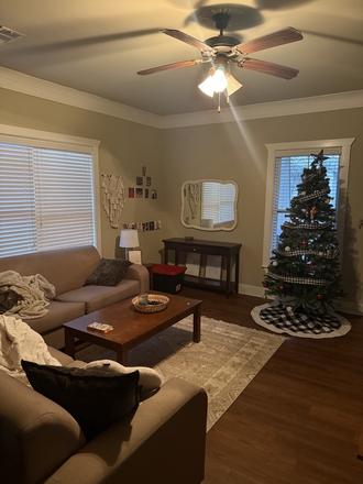 Living Room - The Cottages of College Station Dec/Jan through July 2026 Relet Apartments