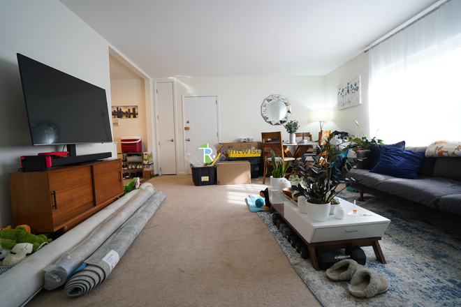 1 - DEC 2025-Incredible Brighton 2 bed, H/Hw/Parking inc. Pets OK, NO FEE! Apartments