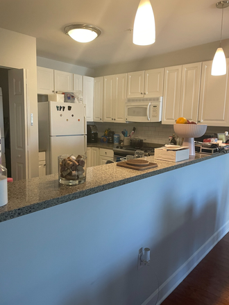 Equipped kitchen - Furnished 1BR apt-Spring St-Princeton