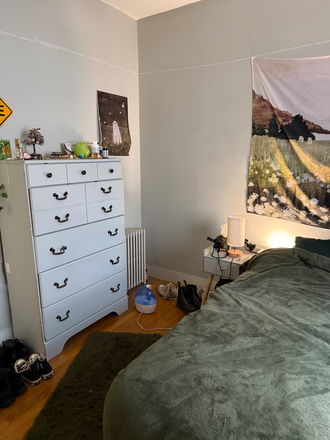 Bedroom - Allston Single Bedroom Apartment close to Griggs stop