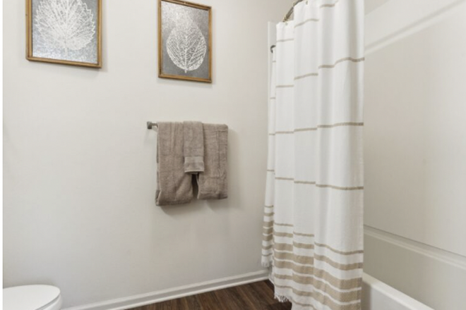 Private Bathroom - Rush Student Living. Apartments