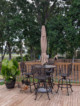 Deck furnitire - Beautiful home on the River