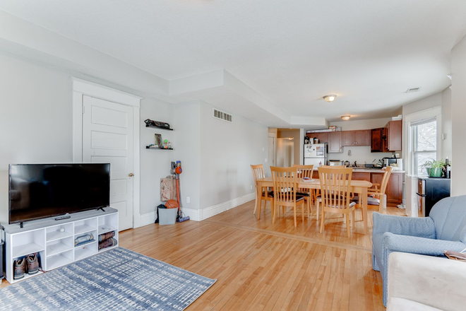 view from living room toward dining room - Large beautiful apartment in smaller building 5 blocks to campus 4 bed 2 bath