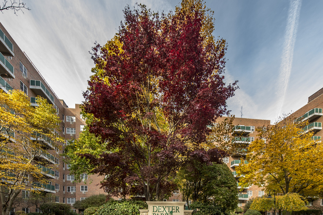 Call NOW for showings! 617-236-8550 - FREEMAN ST - *NO FEE* LUXE 2BR IN DEXTER PRK AVAIL *6/1/2026* W/ LNDRY IN BLDNG, GYM, PRKNG, BALCONY